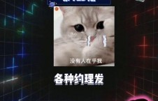 吃瓜娱乐圈内娱课代表
